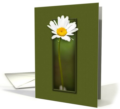 Blank Notecard, White Daisy on Green Background card (646772)
