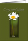 Congratulations, White Daisy on Green Background card