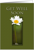 Get Well Soon, White Daisy on Green Background card
