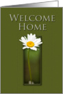 Welcome Home, White Daisy on Green Background card