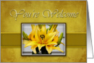 You’re Welcome, Yellow Lily on Yellow Background card