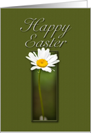 Happy Easter, White Daisy on Green Background card