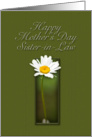 Sister-in-Law Happy Mother`s Day, White Daisy on Green Background card