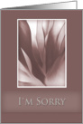 I’m Sorry, Pink Abstract on Pink Background card