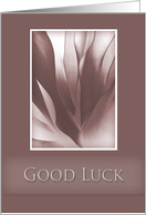 Good Luck, Pink Abstract on Pink Background card