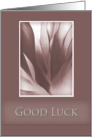 Good Luck, Pink Abstract on Pink Background card