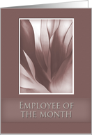 Employee of the Month, Pink Abstract on Pink Background card