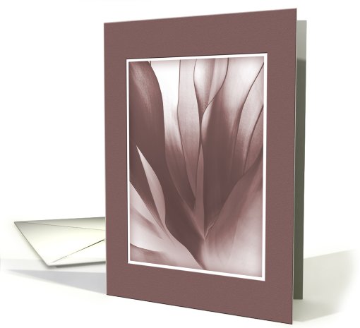 Blank Notecard, Pink Abstract on Pink Background card (647325)