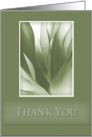 Thank You, Green Abstract on Green Background card