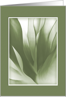 Blank Notecard, Green Abstract on Green Background card