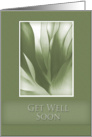 Get Well Soon, Green Abstract on Green Background card