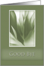 Good Bye, Green Abstract on Green Background card