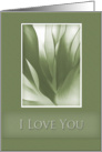 I Love You, Green Abstract on Green Background card