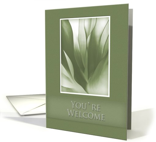 You're Welcome, Green Abstract on Green Background card (647337)