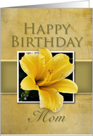 Mom Happy Birthday, Yellow Lily card