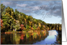 Thank You, Fall Trees Beside River card