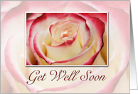 Get Well Soon, Rose card