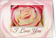 I Love You, Rose card