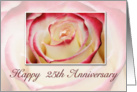 25th Anniversary, Rose card