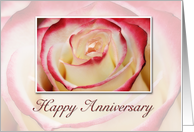 Happy Anniversary, Rose card