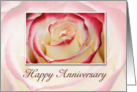 Happy Anniversary, Rose card