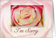 I’m Sorry, Rose card