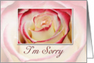 I’m Sorry, Rose card