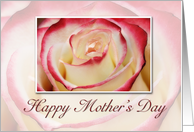Happy Mother’s Day, Rose card