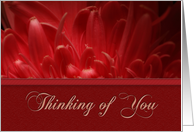 Thinking of You, Flower Petals card