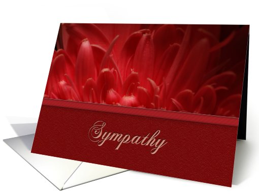 Sympathy, Flower Petals card (704109)