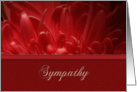 Sympathy, Flower Petals card