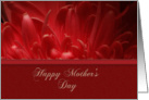 Happy Mother’s Day, Flower Petals card