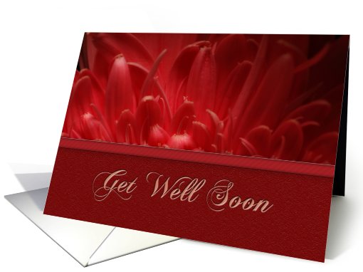 Get Well Soon, Flower Petals card (704111)