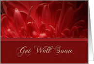 Get Well Soon, Flower Petals card