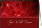 Get Well Soon, Flower Petals card
