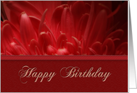 Happy Birthday, Flower Petals card