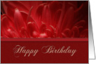 Happy Birthday, Flower Petals card