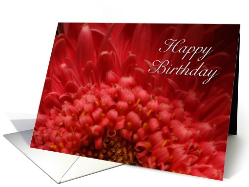 Happy Birthday, Flower Petals card (704115)