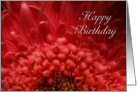 Happy Birthday, Flower Petals card