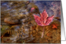 Thinking of You, Maple Leaf in River card