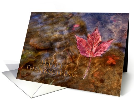 Happy Thanksgiving, Maple Leaf in River card (706002)