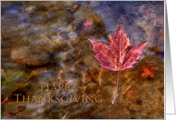 Happy Thanksgiving, Maple Leaf in River card