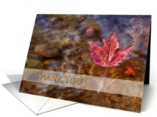 Thank You, Maple Leaf in River card (706003)