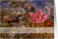 Thank You, Maple Leaf in River card