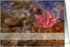 Thank You, Maple Leaf in River card