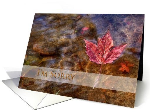 I'm Sorry, Maple Leaf in River card (706004)