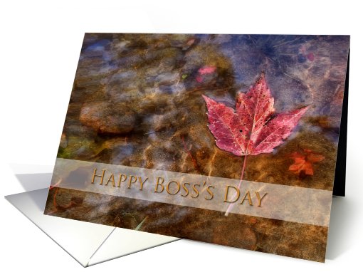 Happy Boss's Day, Maple Leaf in River card (706007)