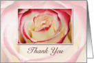 Thank You, Rose card