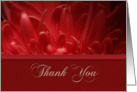 Thank You, Flower Petals card