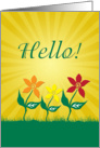 Hello, Yellow Sunbeams with Yellow Red and Orange Flowers card